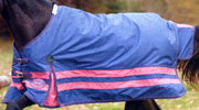 Shier Tex Cherokee Winter Combo