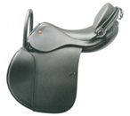 HORSETHRAPY